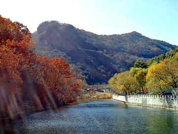 新澳天天开奖资料大全旅游团，导电母粒